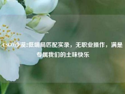 CSGO沙漠2低端局匹配实录，无职业操作，满是专属我们的土味快乐