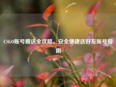 CSGO账号赠送全攻略，安全便捷送好友账号指南