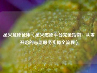 星火意愿征集（星火志愿平台完全指南：从零开始的志愿服务实操全流程）