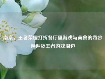 南京，王者荣耀打折餐厅里游戏与美食的奇妙邂逅及王者游戏周边