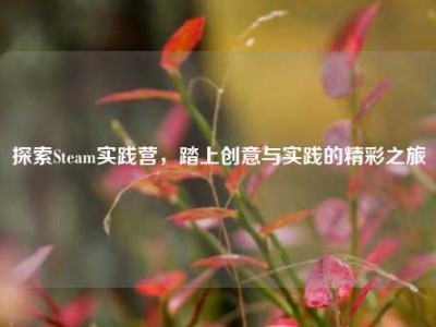 探索Steam实践营，踏上创意与实践的精彩之旅