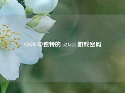 CSGO 中独特的 521521 游戏密码