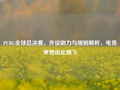 PUBG全球总决赛，外设助力与规则解析，电竞梦想由此腾飞