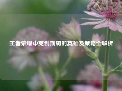 王者荣耀中克制荆轲的英雄及策略全解析