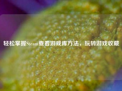 轻松掌握Steam查看游戏库方法，玩转游戏收藏