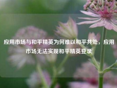 应用市场与和平精英为何难以和平共处，应用市场无法实现和平精英登录