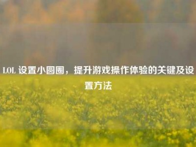 LOL 设置小圆圈，提升游戏操作体验的关键及设置方法