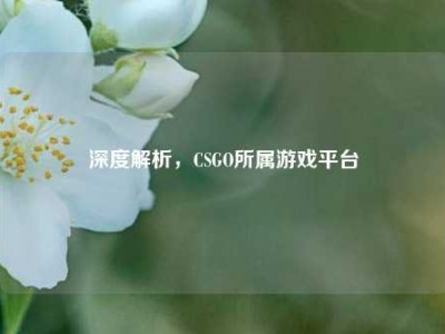 深度解析，CSGO所属游戏平台