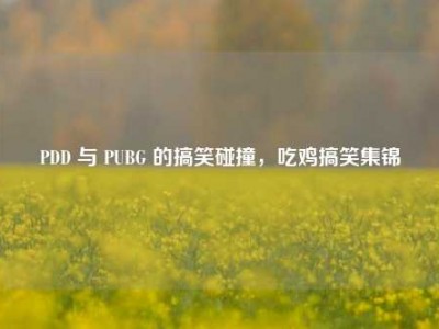 PDD 与 PUBG 的搞笑碰撞，吃鸡搞笑集锦