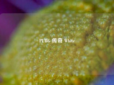 PUBG 传奇 White