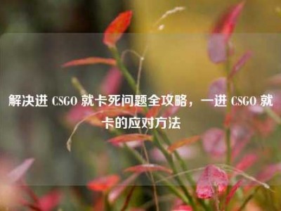 解决进 CSGO 就卡死问题全攻略，一进 CSGO 就卡的应对方法