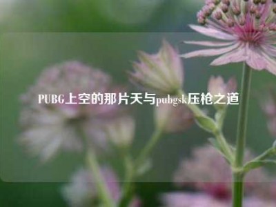 PUBG上空的那片天与pubgsk压枪之道
