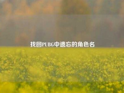 找回PUBG中遗忘的角色名