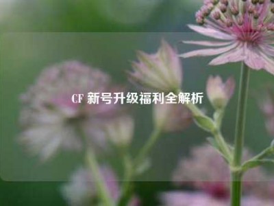 CF 新号升级福利全解析