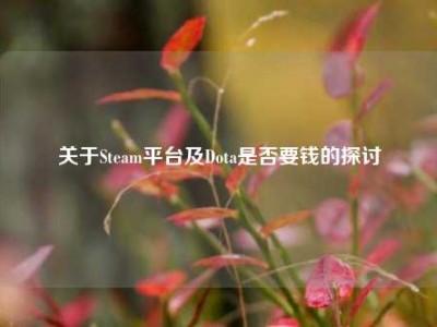 关于Steam平台及Dota是否要钱的探讨