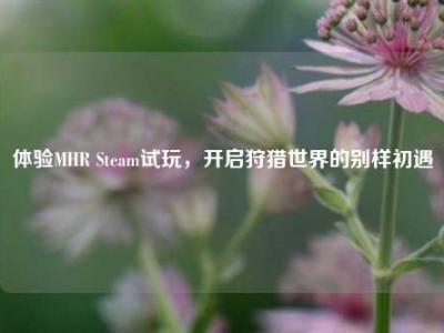 体验MHR Steam试玩，开启狩猎世界的别样初遇