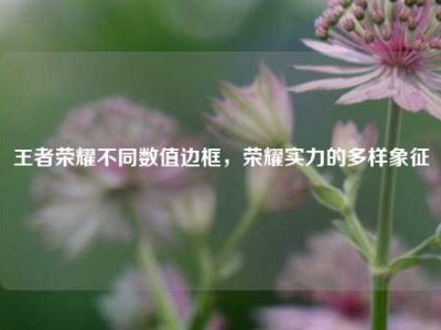 王者荣耀不同数值边框，荣耀实力的多样象征