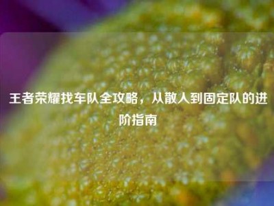 王者荣耀找车队全攻略，从散人到固定队的进阶指南