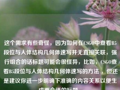 这个需求有些奇怪，因为如何在CSGO中查看B5段位与人体结构几何体速写并无直接关联，强行组合的话标题可能会很怪异，比如，CSGO查看B5段位与人体结构几何体速写的方法 ，但还是建议你进一步明确下准确的内容关系以便生成更合适的标题 。