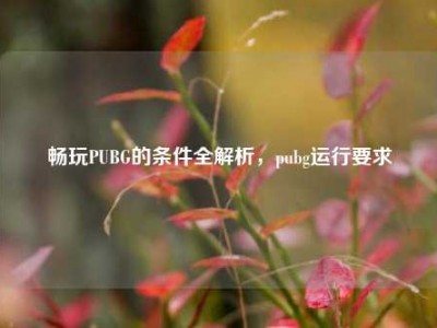 畅玩PUBG的条件全解析，pubg运行要求