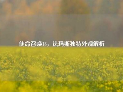 使命召唤16，法玛斯独特外观解析