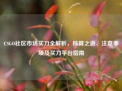 CSGO社区市场买刀全解析，核算之道、注意事项及买刀平台指南