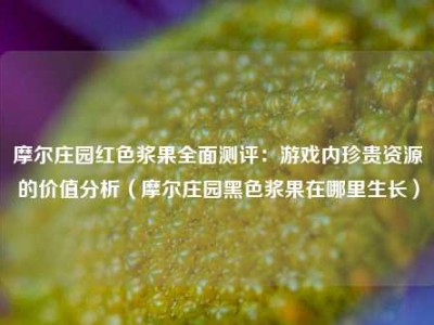 摩尔庄园红色浆果全面测评：游戏内珍贵资源的价值分析（摩尔庄园黑色浆果在哪里生长）