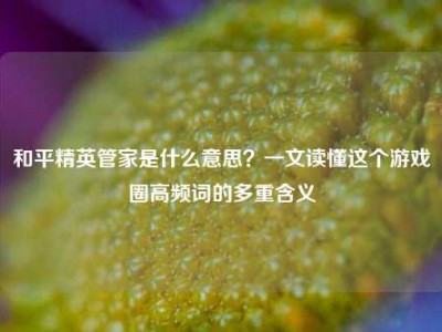 和平精英管家是什么意思？一文读懂这个游戏圈高频词的多重含义