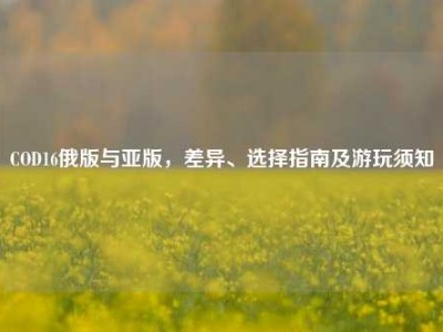COD16俄版与亚版，差异、选择指南及游玩须知