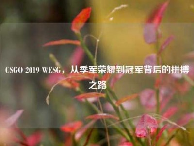 CSGO 2019 WESG，从季军荣耀到冠军背后的拼搏之路
