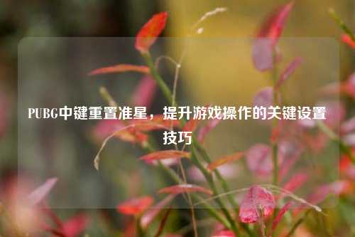 PUBG中键重置准星，提升游戏操作的关键设置技巧