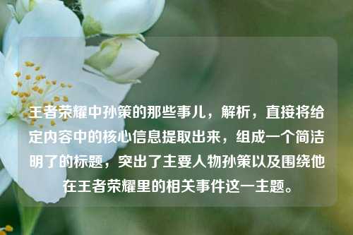 王者荣耀中孙策的那些事儿，解析，直接将给定内容中的核心信息提取出来，组成一个简洁明了的标题，突出了主要人物孙策以及围绕他在王者荣耀里的相关事件这一主题。