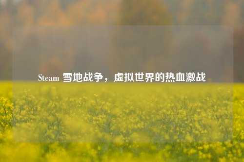 Steam 雪地战争,虚拟世界的热血激战