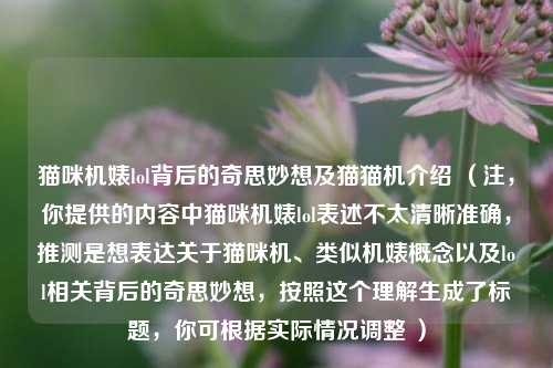 猫咪机婊lol背后的奇思妙想及猫猫机介绍 （注，你提供的内容中猫咪机婊lol表述不太清晰准确，推测是想表达关于猫咪机、类似机婊概念以及lol相关背后的奇思妙想，按照这个理解生成了标题，你可根据实际情况调整 ）