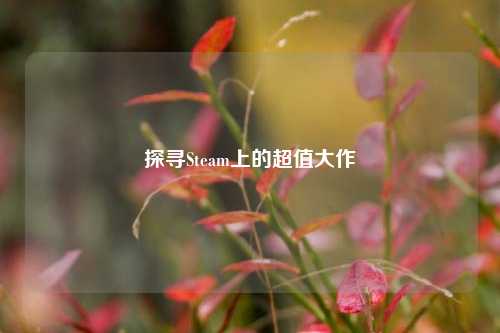 探寻Steam上的超值大作
