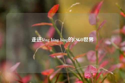 走进lěng bīng bīng的CSGO世界
