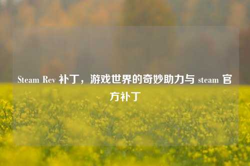 Steam Rev 补丁,游戏世界的奇妙助力与 steam 官方补丁