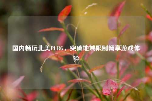 国内畅玩北美PUBG，突破地域限制畅享游戏体验