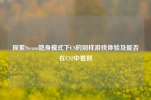 探索Steam隐身模式下CS的别样游戏体验及能否在CS2中看到