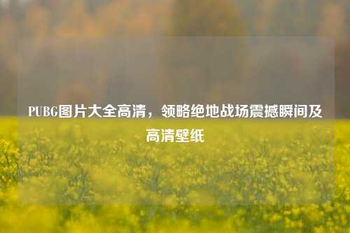 PUBG图片大全高清，领略绝地战场震撼瞬间及高清壁纸