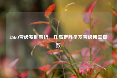 CSGO晋级赛制解析,几局定胜负及晋级所需局数