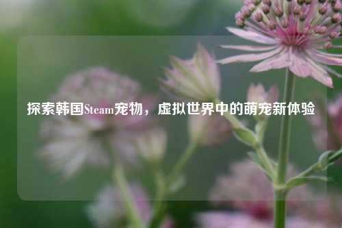 探索韩国Steam宠物,虚拟世界中的萌宠新体验