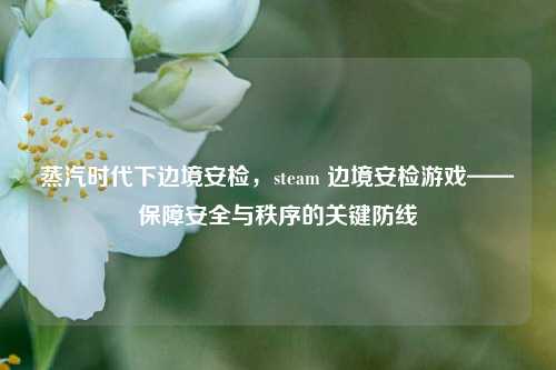 蒸汽时代下边境安检,steam 边境安检游戏——保障安全与秩序的关键防线