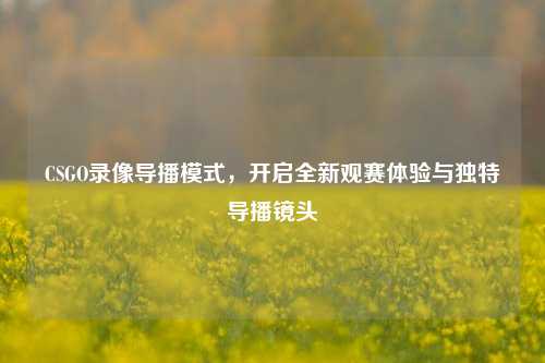 CSGO录像导播模式,开启全新观赛体验与独特导播镜头