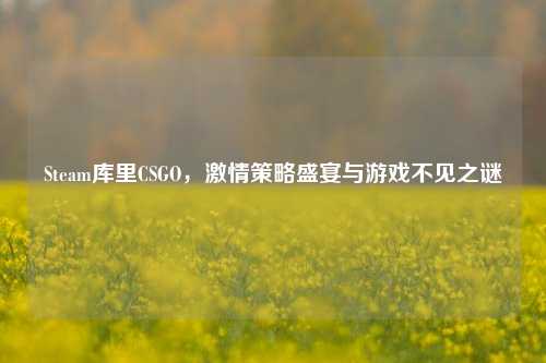 Steam库里CSGO,激情策略盛宴与游戏不见之谜