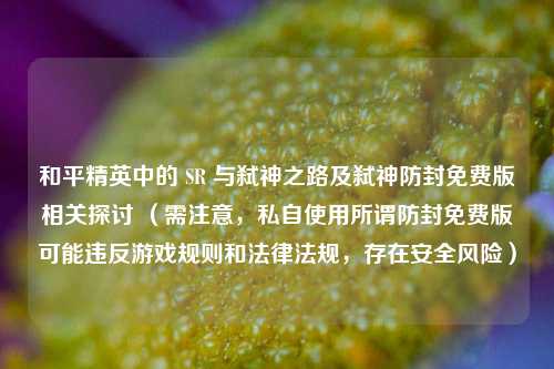 和平精英中的 SR 与弑神之路及弑神防封免费版相关探讨 (需注意,私自使用所谓防封免费版可能违反游戏规则和法律法规,存在安全风险)