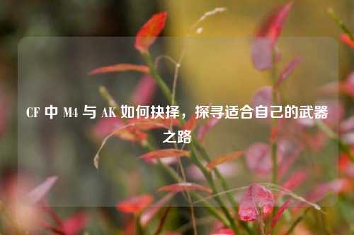 CF 中 M4 与 AK 如何抉择，探寻适合自己的武器之路