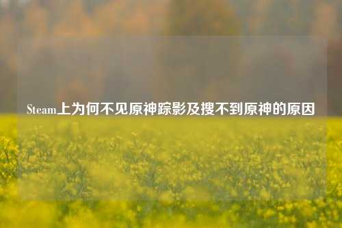 Steam上为何不见原神踪影及搜不到原神的原因