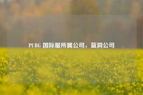 PUBG 国际服所属公司,蓝洞公司