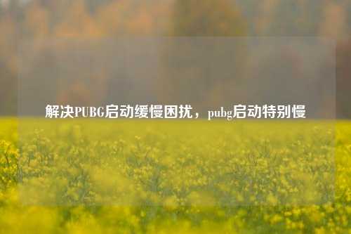 解决PUBG启动缓慢困扰，pubg启动特别慢